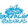 Entidad RSC
